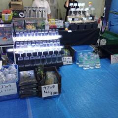東北ペットフェス - 奥州市