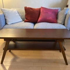⭐︎3点セット/ 2人掛けソファ、低テーブル、照明の画像