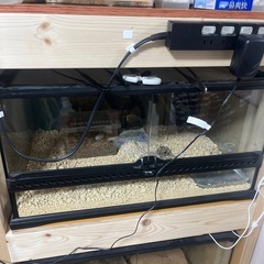 グラテラ6030
