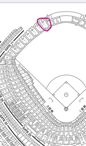 5月6日 巨人対阪神  東京ドーム 外野席レフト