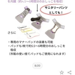 老犬介護　洗えるオムツ　パット　マナーパンツ　小型犬の画像
