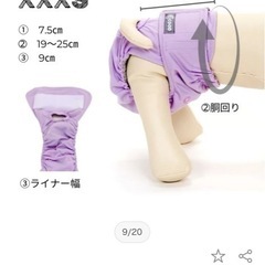 老犬介護　洗えるオムツ　パット　マナーパンツ　小型犬の画像