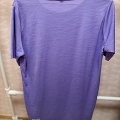 レディースTシャツの画像