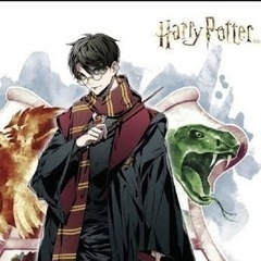 ハリポタ推しの女の子と繋がりたい🪄⚡️