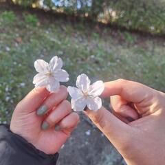 禁煙お手伝いします！