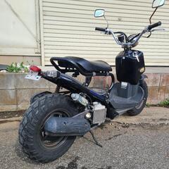 ホンダ　ズーマー　カスタム　ZOOMER　低走行　千葉県流山市　全国陸送可能！の画像