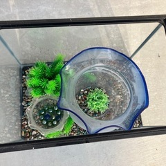 水槽　無料でどうぞの画像