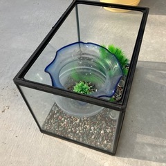 水槽　無料でどうぞの画像