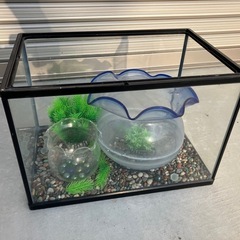 水槽　無料でどうぞの画像