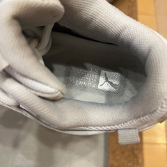 22.0cm Puma RS-X Efekt Premuim 'White Feather Grey'  の画像