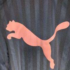 PUMAジャージ上下セットの画像