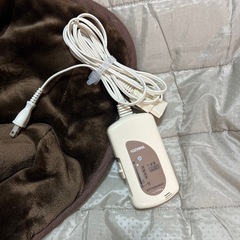山善　洗えるどこでもカーペットの画像