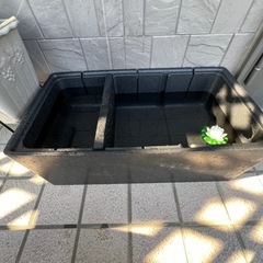 めだか飼育容器！