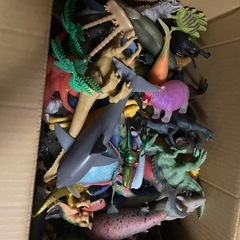恐竜　虫　動物　魚などフィギュアの画像
