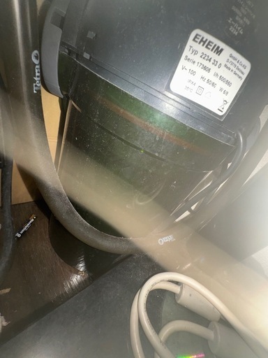 45cm水槽と熱帯魚3匹ほどとクーリローチ1匹？水中ポンプ＋外部フィルター エーハイム エココンフォート2234
