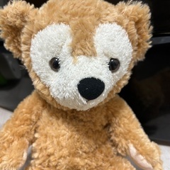 ダッフィー　ぬいぐるみの画像