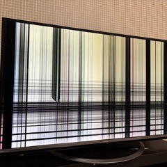 テレビ　　の画像