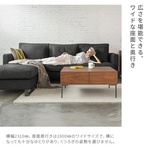 引き取り先決定済み】アルモニアソファ (にんにん) 古賀のソファ