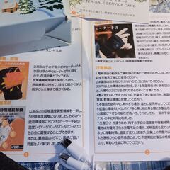 ヒーターグローブの画像