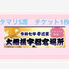 大相撲　春巡業　宇都宮場所 4/18 チケット（タマリS席）