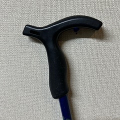 SOUTH FIELD サウスフィールド トレッキングポール ステッキの画像