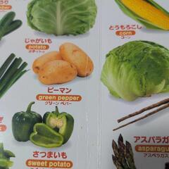 【値下げ】はじめてのずかん 300 　0~4歳向けの画像