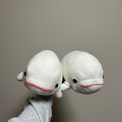 シロイルカぬいぐるみの画像