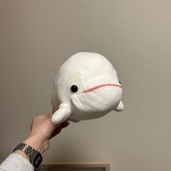 シロイルカぬいぐるみ