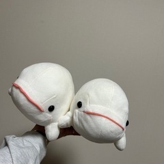 シロイルカぬいぐるみの画像