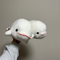 シロイルカぬいぐるみの画像
