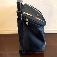 レイクアルスター　中古キャリーバッグ　シェニールライン