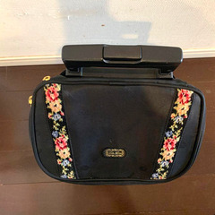 レイクアルスター　中古キャリーバッグ　シェニールラインの画像