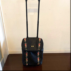 レイクアルスター　中古キャリーバッグ　シェニールラインの画像