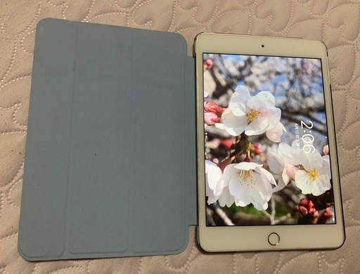 iPad mini4   128GB wifiモデル