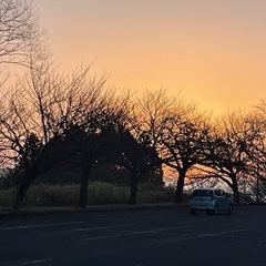 一緒にウォーキングや写メ共有 - 宜野湾市