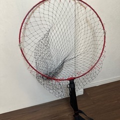 本日ならうれしいです！タモ網
