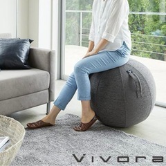 【新品•未開封品】Vivoraバランスボール チャコールグレー