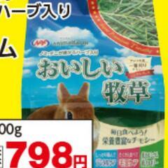 美味しい牧草　チモシー