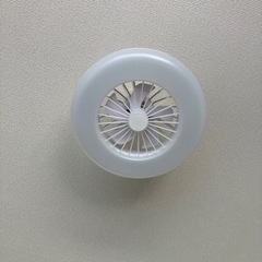 引き渡し者決定　シーリングライト