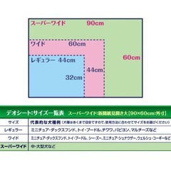 5パックセット デオシート ペットシート スーパーワイドの画像