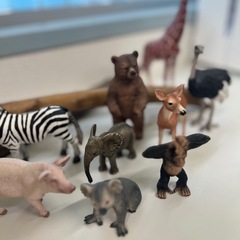 リアル動物フィギュアセット 11体、流木２本の画像