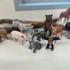 リアル動物フィギュアセット 11体、流木２本の画像