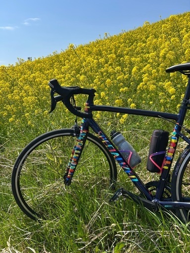 スペシャライズド　アレー　RED HOOK限定カラー