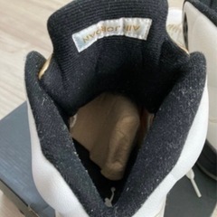 NIKE AIR JORDAN 5 RETRO OLYMPIC 2016 28.0cmの画像