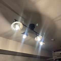 無料 おしゃれ照明の画像