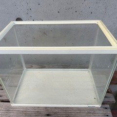 水槽の画像