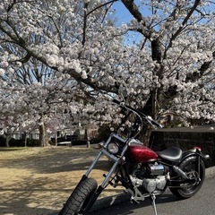 【決まりました】ホンダ ジャズ50の画像