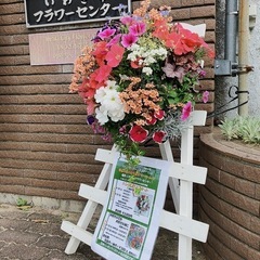スプリングフェスティバル2025 - いわき市