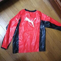 140PUMAピステ上下赤