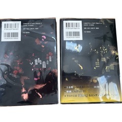 ラストで君はまさかと言う 時のはざま 予知夢 2冊セット クリアカバー付きの画像